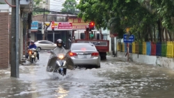 vao cuoc chu dong xa hoai duc chua ghi nhan thiet hai ve nguoi tai san do mua bao