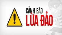 Doanh nghiệp Việt bị