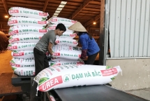 doanh nghiep keu cuu vi phan bon gia