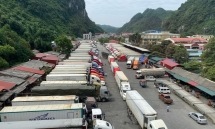 hang tram container thanh long tac o cua khau tan thanh