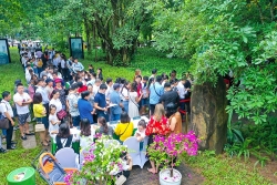 khach xep hang ca cay so de xem nha mau va mua nha tai ecopark