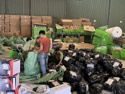 ra soat hoat dong cac doanh nghiep kinh doanh kho bai cang