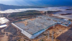 Ninh Thuận muốn sớm tiếp tục huy động 40% công suất Nhà máy điện mặt trời 450MW