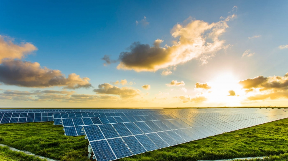 Chính phủ yêu cầu thống nhất về nguồn điện mặt trời đưa vào Quy hoạch điện VIII