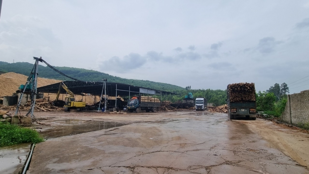 Nghệ An: Nguy cơ dừng hoạt động xưởng gỗ, Công ty Minh Long muốn giải quyết thấu tình đạt lý