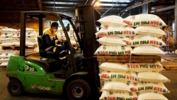 Xuất khẩu phân bón tăng cao, nhiều doanh nghiệp lãi lớn