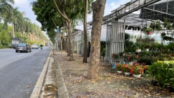 Gia Lâm - Hà Nội: Quyết liệt xử lý lấn chiếm, tuyến đường 379 đã xanh - sạch - đẹp hơn