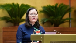 Mua bán bào thai đang là thực tế đáng lo ngại