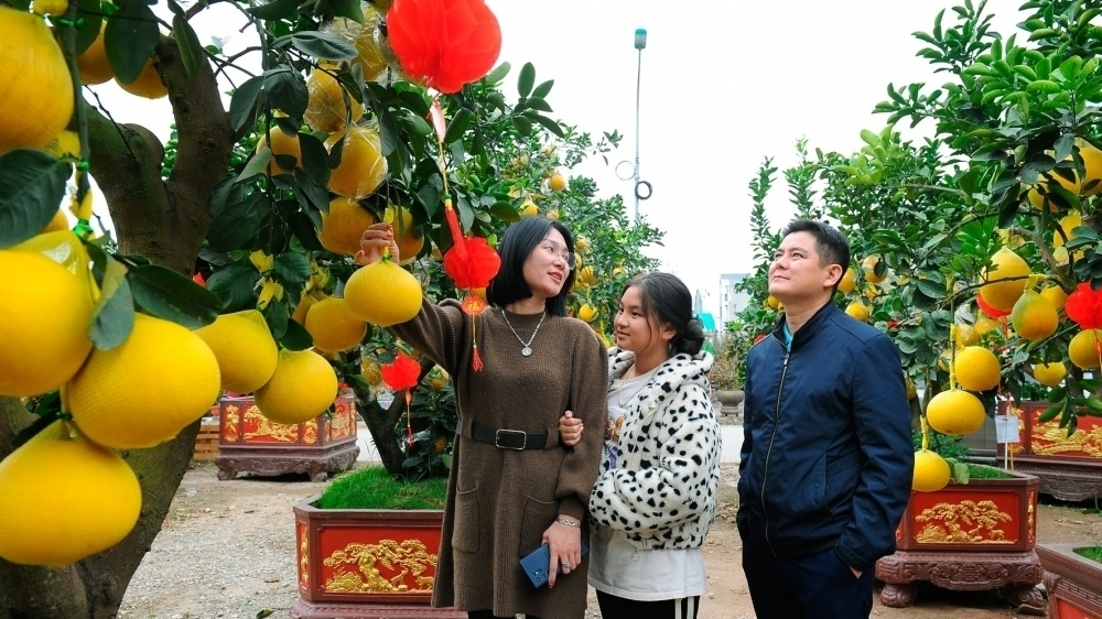 Bộ Nội vụ đề xuất nghỉ 9 ngày dịp Tết Nguyên đán 2026