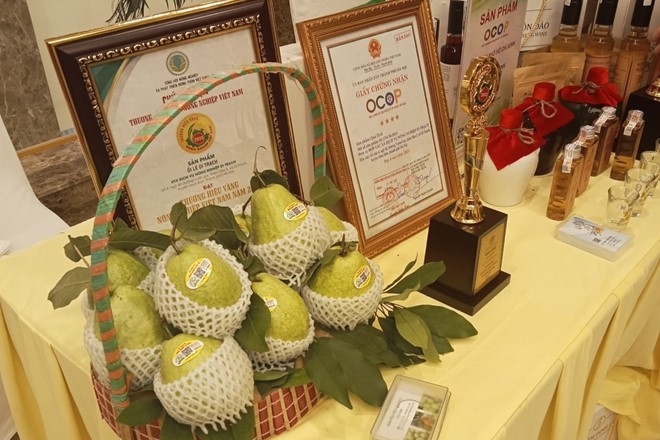 Xã Hoài Đức chú trọng phát triển cây ăn quả đặc sản, chủ lực, có thế mạnh