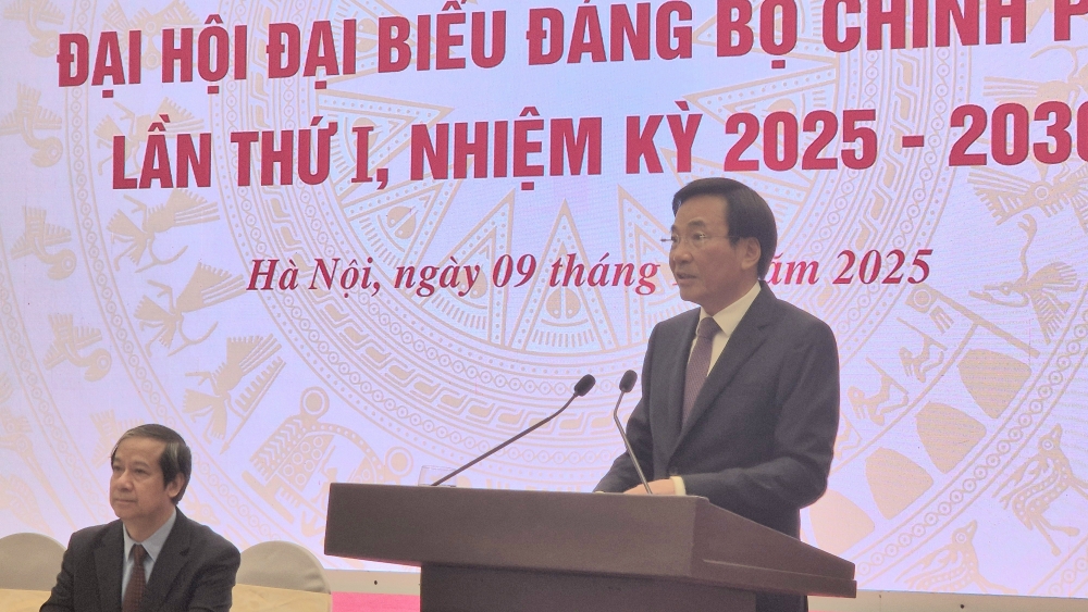 Bộ Chính trị chỉ định 82 đại biểu của Đảng bộ Chính phủ dự Đại hội XIV của Đảng Bộ Chính trị chỉ định 82 đại biểu của Đảng bộ Chính phủ dự Đại hội XIV của Đảng