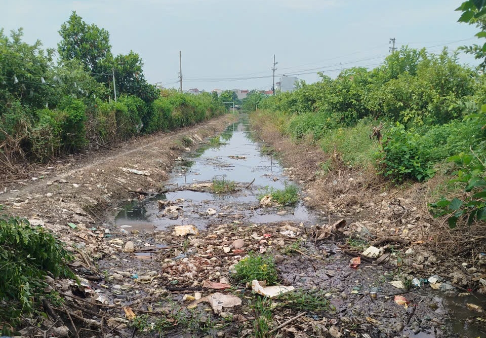 Cứ mưa là ngập, xã Hoài Đức kiến nghị sớm nạo vét, nâng cấp 2 kênh tiêu huyết mạch