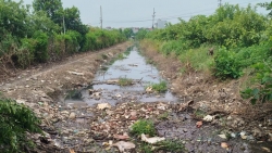 cu mua la ngap xa hoai duc kien nghi som nao vet nang cap 2 kenh tieu huyet mach