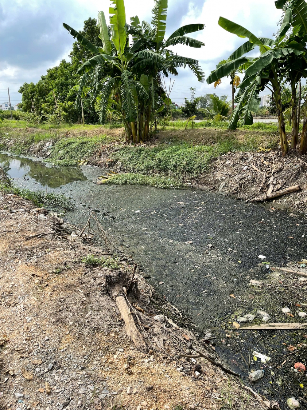 Cứ mưa là ngập, xã Hoài Đức kiến nghị sớm nạo vét, nâng cấp 2 kênh tiêu huyết mạch