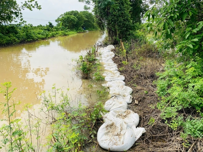 Hơn 180m bờ kênh T2-9 bị sạt lở, xã Hoài Đức khẩn trương gia cố