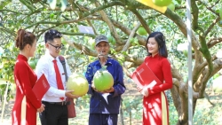 Kiên định mục tiêu chiến lược cùng đất nước phát triển thịnh vượng