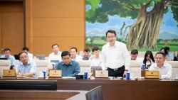 chinh phu de xuat duy tri 6 vung kinh te xa hoi sau sap nhap cac tinh thanh