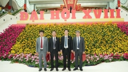 bi thu dang uy xa o dien trung cu ban chap hanh dang bo tp ha noi khoa xviii