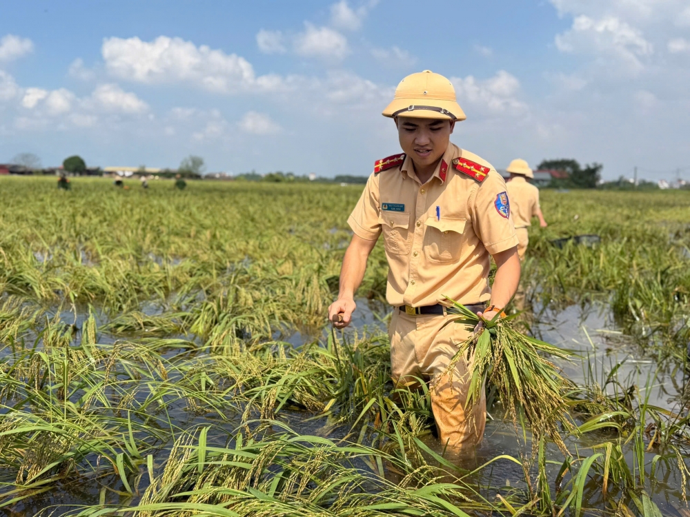 Công an Hà Nội tiếp tục huy động hàng trăm cán bộ giúp dân dọn dẹp sau lũ