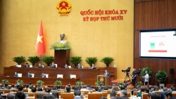 kinh te viet nam du suc chong chiu truoc cac cu soc ben ngoai