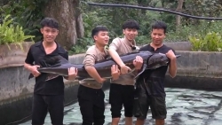 ca tam nang 50kg se duoc chao ban trong tuan le nong san viet 2025