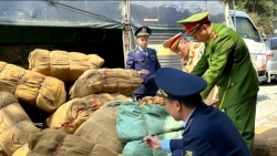 ban chi dao 389 quoc gia yeu cau xu ly viec tha moc tiep tay cho buon lau o cao bang