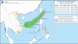 bao 12 chua qua gan bien dong lai xuat hien them ap thap nhiet doi moi