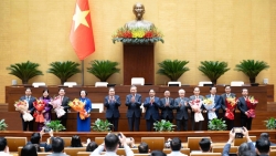 quoc hoi phe chuan 3 tan bo truong