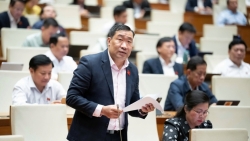 mot dong chi cho moi truong se tiet kiem hang chuc dong cho y te khac phuc thien tai