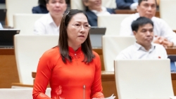 dai bieu quoc hoi lo ngai ve tinh trang lua dao bat coc online