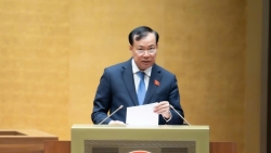 Cấm sử dụng trí tuệ nhân tạo để tạo dựng, lan truyền thông tin sai sự thật