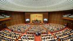 cam su dung he thong tri tue nhan tao de xam pham bi mat nha nuoc