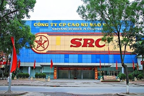 cao su sao vang bi phat 85 trieu dong