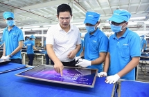 asanzo vi pham nhung gi