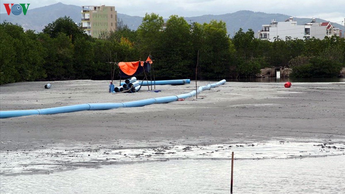 Bình Định tạm dừng Dự án Thị Nại ECo Bay