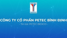 Xử phạt Tổng giám đốc Công ty Petec Bình Định do chậm báo cáo