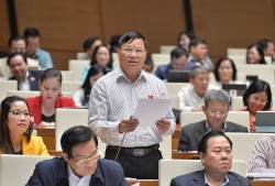 dai bieu quoc hoi ban khoan ve chi tieu tang truong kinh te nam 2021