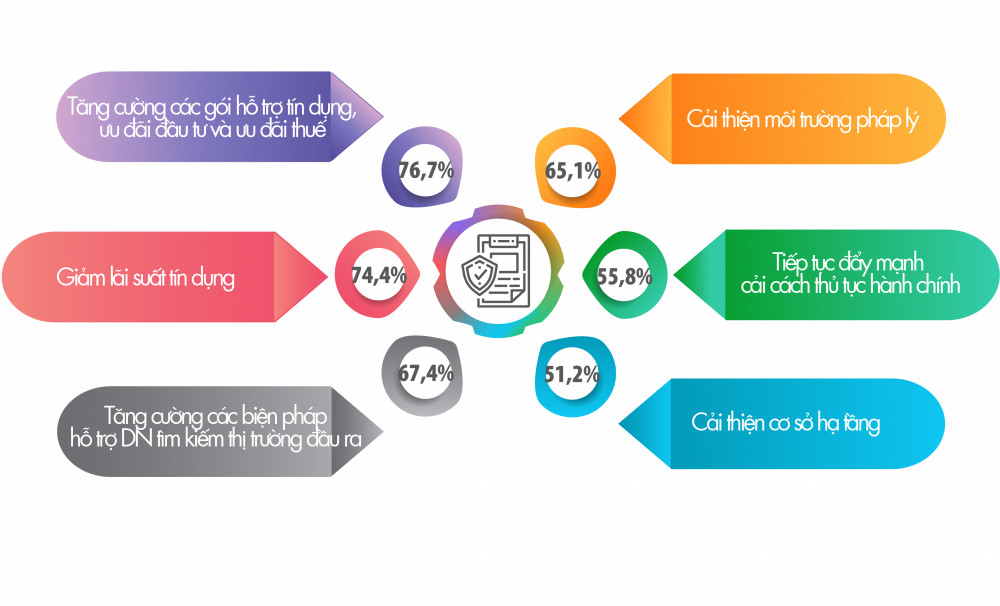 doanh nghiep lon mong muon chinh phu lam gi sau khung hoang