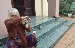 gia lam gia dinh cu ba cong don di khieu nai vi sai lech ho so boi thuong giai phong mat bang