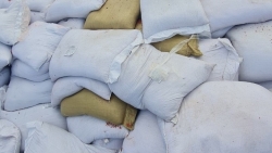 Đề nghị khởi tố vụ Công ty TNHH Nông Nghiệp Ba Trái Dâu xuất khẩu 350 tấn phân bón nghi là giả