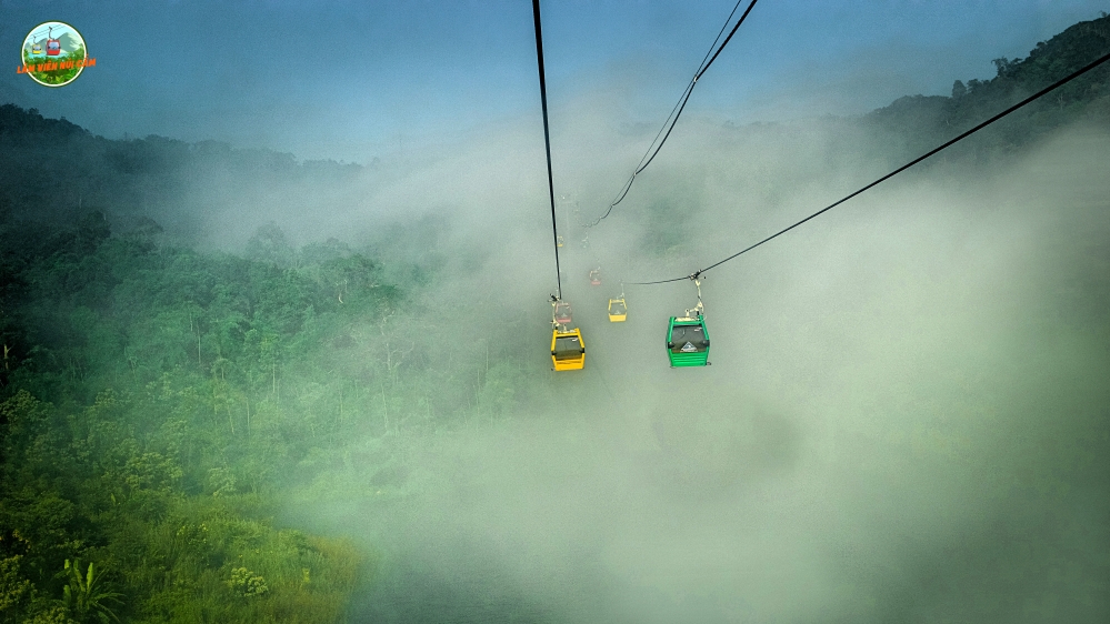 Một phán quyết thấu tình đạt lý