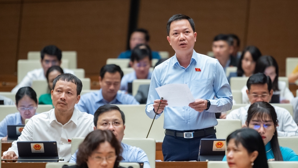 Nên lắng nghe dư luận về phim Đất rừng phương Nam thay vì đòi xử lý