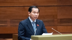 Nên nội luật hoá quy định về thuế tối thiểu toàn cầu