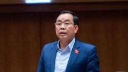 Áp thuế tối thiểu toàn cầu mang lại nhiều cơ hội mới cho Việt Nam