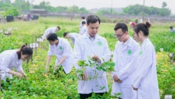 Hà Nội cần có giải pháp đột phát cho phát triển nông nghiệp