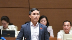 Hiện tượng thông thầu, “quân xanh, quân đỏ” ngày càng phức tạp