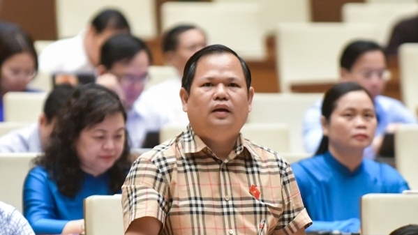 Đề xuất xử lý hình sự người trúng đấu giá “cao ngất” rồi bỏ cọc