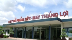 hang loat doanh nghiep bi phat lien quan den trai phieu