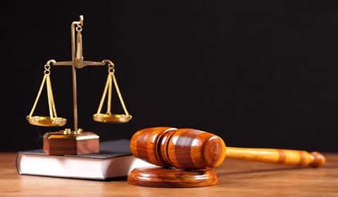 Cảnh báo “sếp” Công ty Sâm Ngọc Linh Kon Tum có thể bị tạm hoãn xuất cảnh