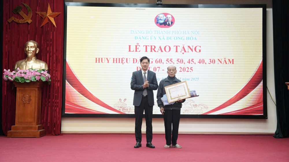 Xã Dương Hoà trao tặng, truy tặng Huy hiệu Đảng cho 17 đảng viên